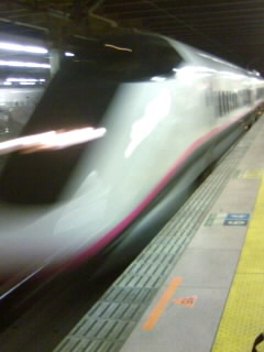 東北新幹線はやて