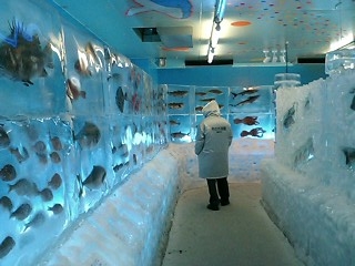 氷の水族館内観