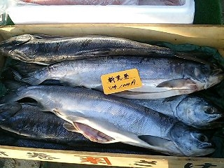 気仙沼市朝市広場で売っていた魚